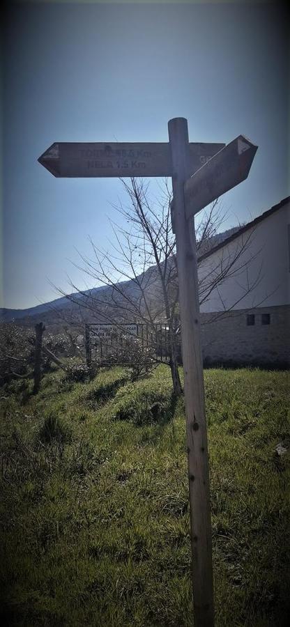 Fuentetrigo II Villa Brizuela Kültér fotó